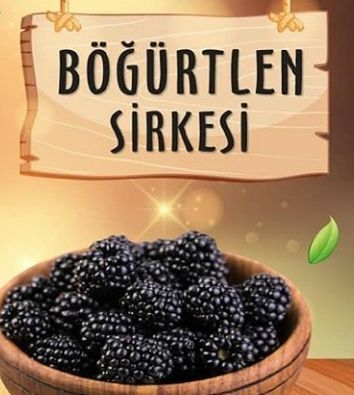 bogurtlen-sirkesi-sadeceurfa