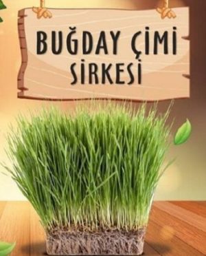 Buğday Çimi Sirkesi 500 cc