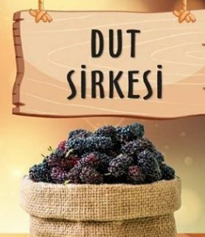 Dut Sirkesi 500 cc