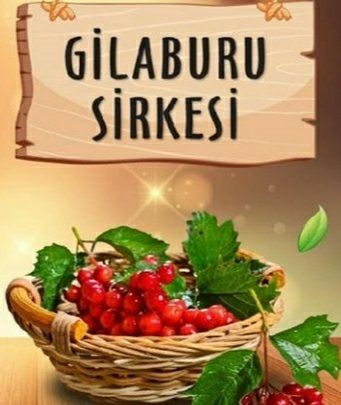 gilaburu-sirkesi-sadeceurfa