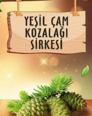 Yeşil Çam Kozalağı Sirkesi 500 cc